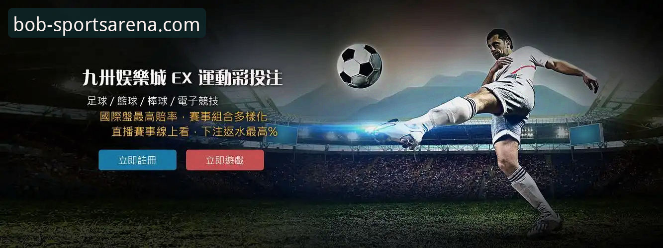 半岛体育官网实用指南：从下载安装到赛事投注的全流程经验分享